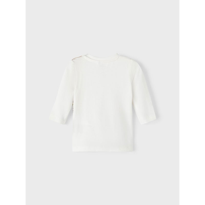 Top Name it 13219489 White Alyssum